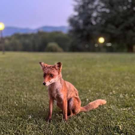 Agriturismo Borgo Imperiale ヴァルモントーネ エクステリア 写真