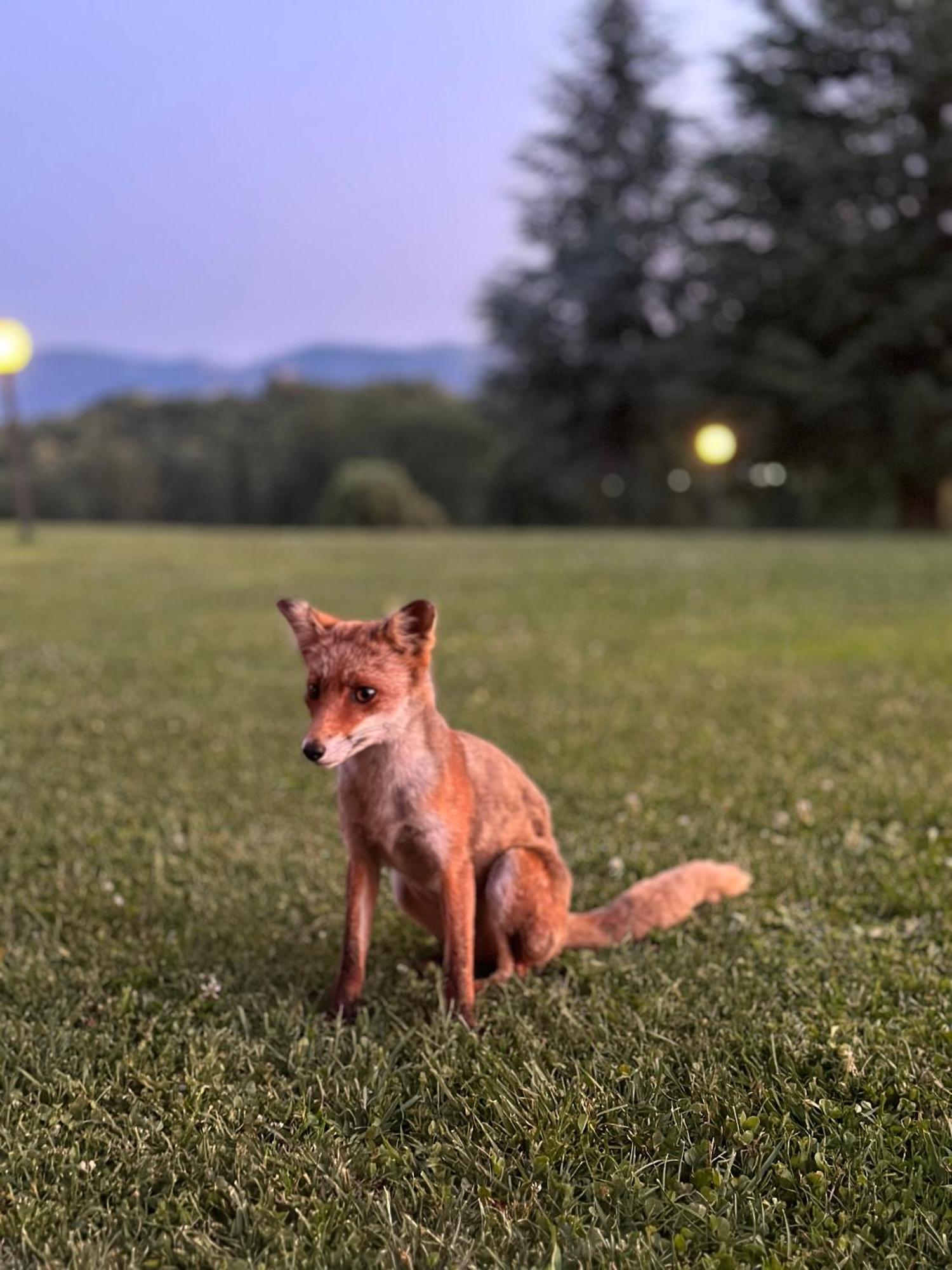 Agriturismo Borgo Imperiale ヴァルモントーネ エクステリア 写真
